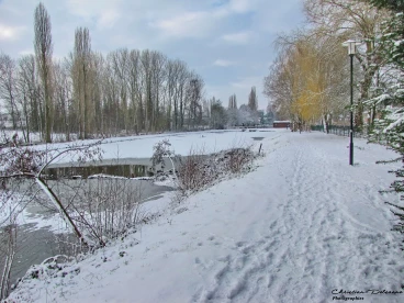 Martel 23-01-19 13-27-16