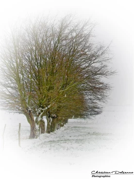 Martel 05-01-09 13-31-04