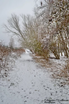 Martel 30-01-19 14-08-43