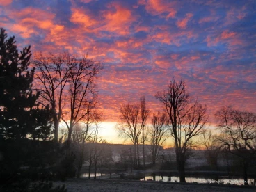 Martel decembre2019    (4)