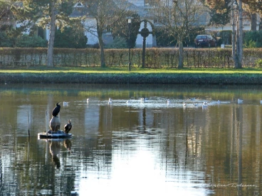 Martel decembre2021    (24)