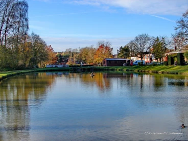 Martel decembre2021    (9)