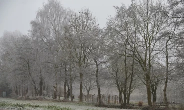 Martel decembre2016    (2) stitch