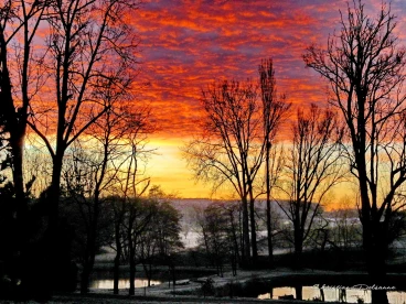 Martel decembre2019    (8)