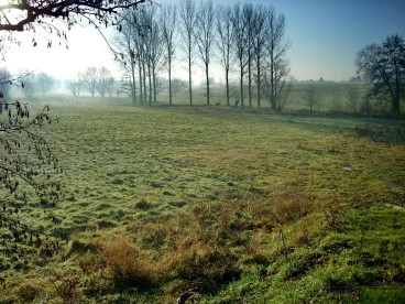 Martel decembre2008    (1)