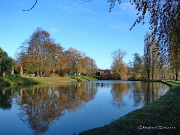 Martel decembre2021    (4)