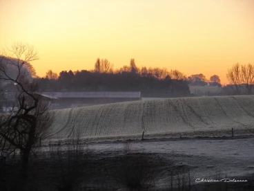 Martel decembre2021    (14)