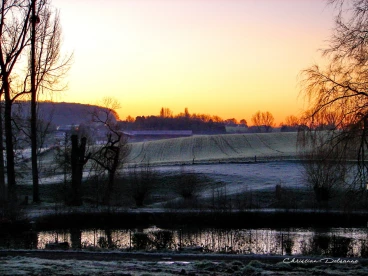 Martel decembre2021    (16)