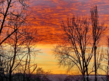 Martel decembre2019    (6)