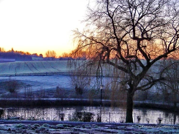 Martel decembre2021    (13)