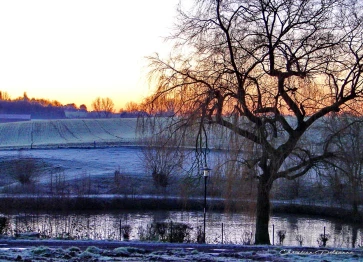 Les étangs Martel au fil des mois