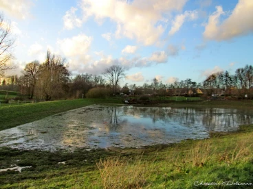 Martel janvier2013  (9)