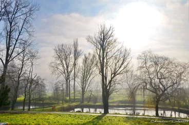 Martel janvier2020  (11)