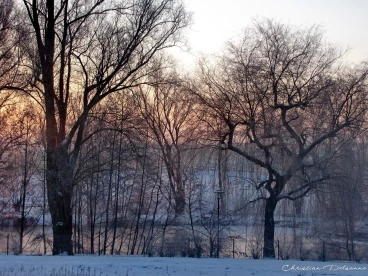 Martel janvier2013  (22)