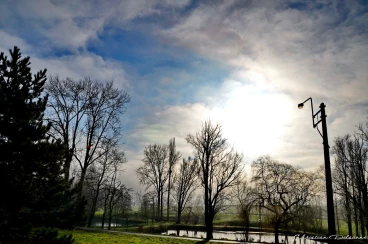 Martel janvier2020  (14)