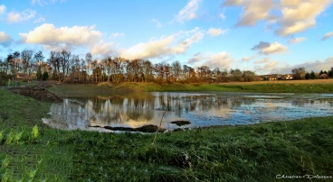 Martel janvier2013  (2) stitch