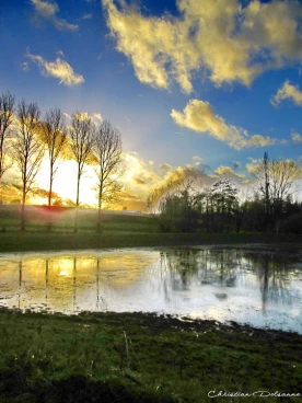 Martel janvier2013  (11)