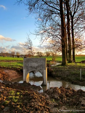 Martel janvier2013  (6)