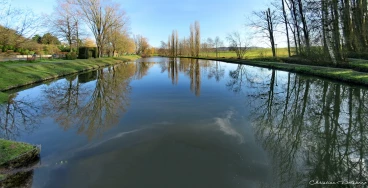 Martel janvier2020  (1) stitch