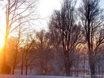 Martel janvier2013  (21)