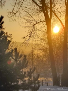 Martel janvier2013  (12)b