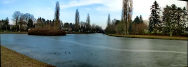 Martel mars2018   (29)