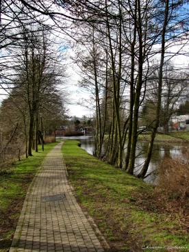 Martel mars2018   (31)