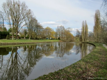 Martel mars2018   (39)