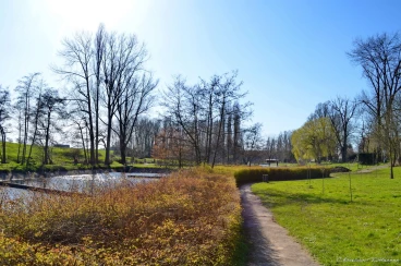 Martel mars2020   (28)