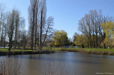 Martel mars2020   (31)