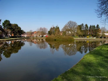 Martel mars2022   (1)