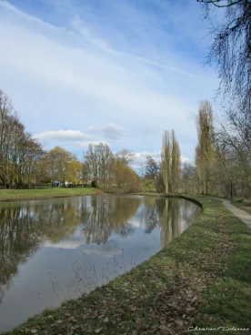 Martel mars2018   (38)