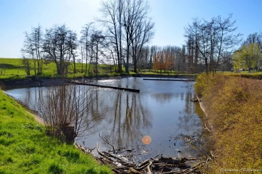 Martel mars2020   (29)