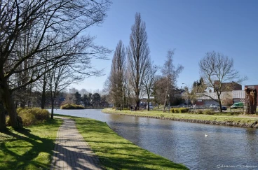 Martel mars2020   (39)