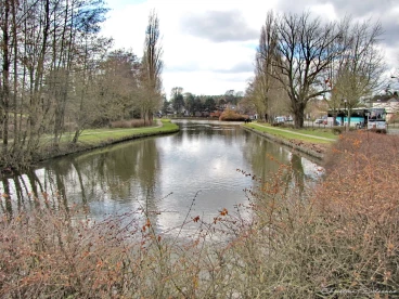 Martel mars2018   (30)