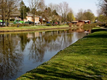 Martel mars2022   (3)