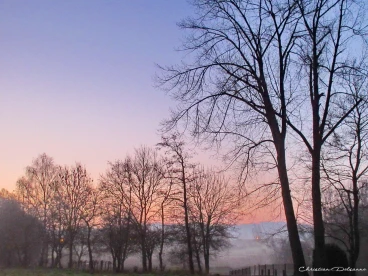 Martel mars2019   (5)