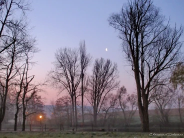 Martel mars2019   (4)