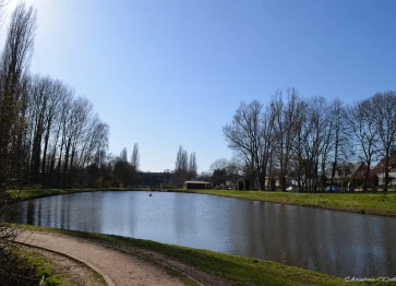 Les étangs Martel en Mars