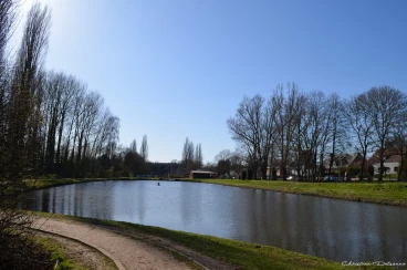 Martel mars2020   (32)