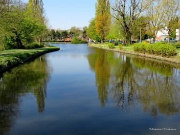 Martel avril2019    (11)