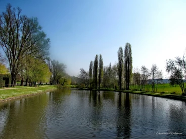 Martel avril2020    (14)