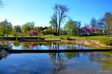 Martel avril2022    (1)