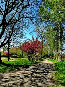 Martel avril2019    (19)