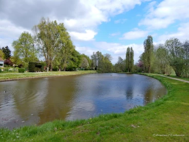 Martel avril2014    (1)