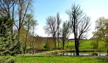 Martel avril2020    (3) stitch