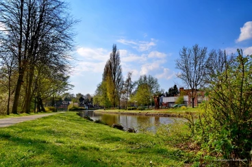 Martel avril2020    (1)