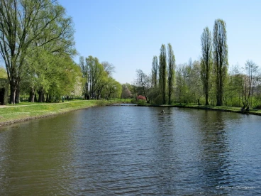 Martel avril2019    (10)