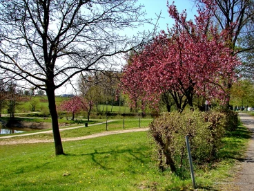 Martel avril2021    (13)