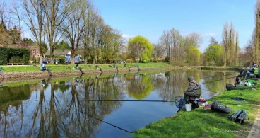 Martel avril2012    (4) stitch